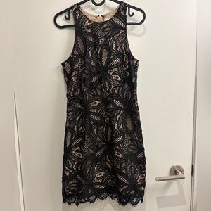 Babaton Black and Cream Lace Mini Dress